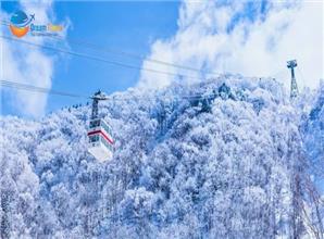 Tour Nhật Bản Đón Tết Nguyên Đán 6N5Đ Đến Với Thế Giới Tuyết Trắng